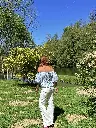 IMG_7062.webp